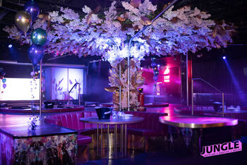 JUNGLE Venue